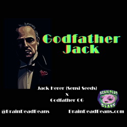 Godfather Jack Fem 5 Pack 